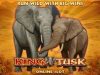 New Microgaming Pokies Game – King Tusk
